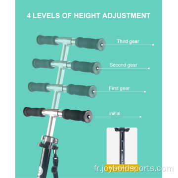 Trottinette à double amortissement